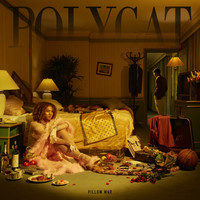 PolyCat - Pillow War