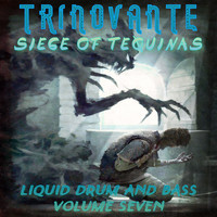 TrinoVante / - Siege of Tequinas Liquid Drum and Bass Vol. 7
