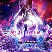 Mr Snookems & His Slynxs - The Secret Sound Affair