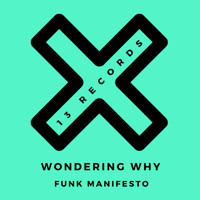 Funk Manifesto - Wondering Why