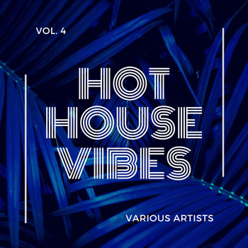 Various Artists - Hot House Vibes, Vol. 4