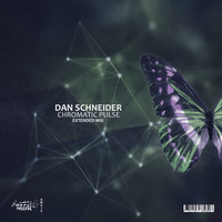 Dan Schneider - Chromatic Pulse