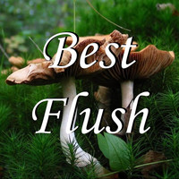 SmallShroom - Best Flush