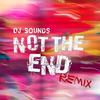 Dj Sounds - Not the End (Remix)