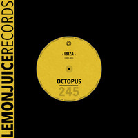 Octopus - Ibiza