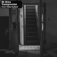 Mr Brico / - Transgression