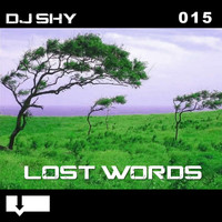 DJ Shy - Lost Words