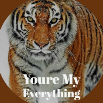 Various Artist - Youre My Everything