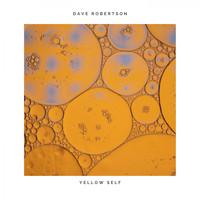 Dave Robertson - Yellow Self