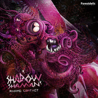 Shadow Shaman - Making Contact