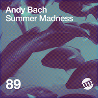 Andy Bach - Summer Madness