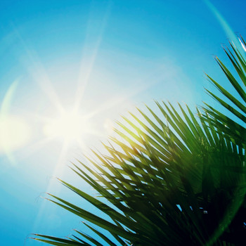 Justin Paul - Sunbeam