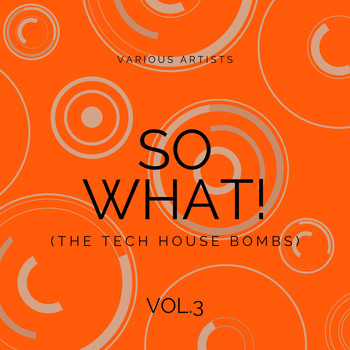 Various Artists - SO WHAT! (The Tech House Bombs), Vol. 3