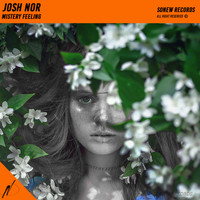 Josh Nor - Mistery Feeling