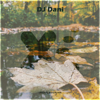 DJ Dani - Drops