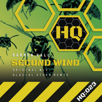 Darren Hall - Second Wind