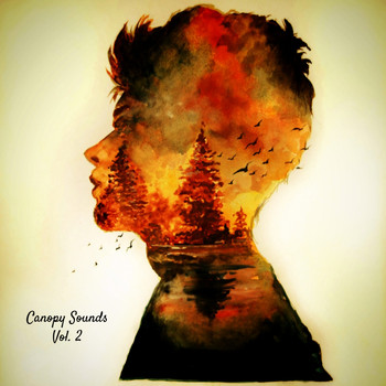 Various Artists - Canopy Sounds Chapter 2