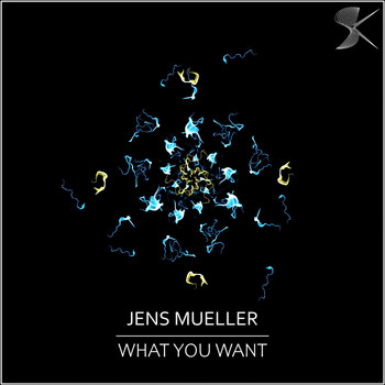 Jens Mueller - What You Want