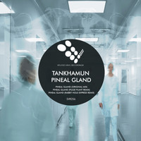 TANKHAMUN - Pineal Gland