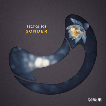 Section303 - Sonder