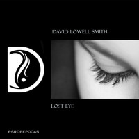 David Lowell Smith - Lost Eye
