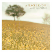 Marius Alvestad - A Place I Know
