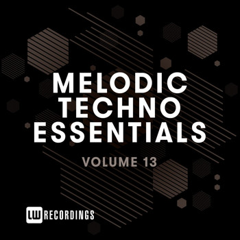 Various Artists - Melodic Techno Essentials, Vol. 13