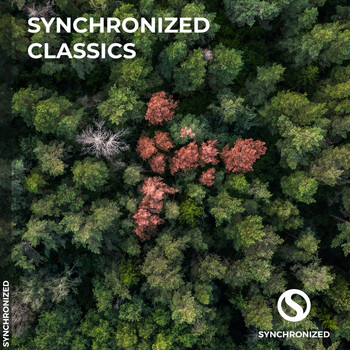 Various Artists - Synchronized Classics