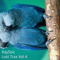 RaySoo - Lost Trax, Vol. 4