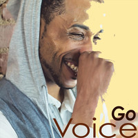 Voice - Go