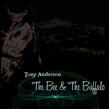 Tony Anderson - The Bee & the Buffalo