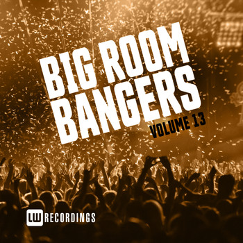 Various Artists - Big Room Bangers, Vol. 13