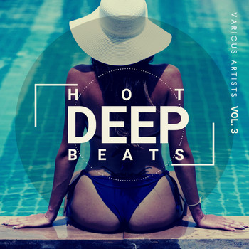 Various Artists - Hot Deep Beats, Vol. 3