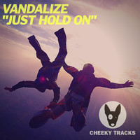 Vandalize - Just Hold On