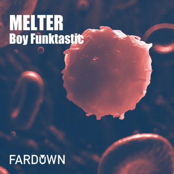 Boy Funktastic - Melter