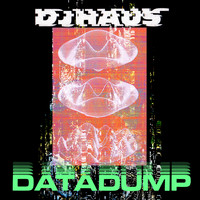 DJ Haus - Data Dump