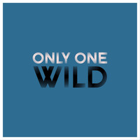 Wild - Only One