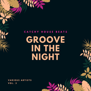 Various Artists - Groove In The Night (Catchy House Beats), Vol. 3