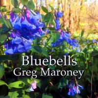 Greg Maroney - Bluebells
