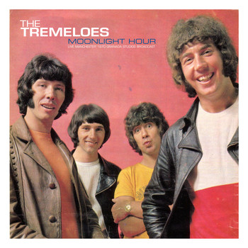 The Tremeloes - Moonlight Hour (Live 1970)