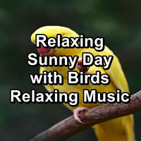 Yoga Flow - Relaxing Sunny Day with Birds Relaxing Music