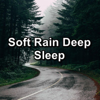 Rain Storm & Thunder Sounds - Soft Rain Deep Sleep