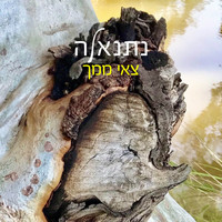 Netanela - צאי ממך