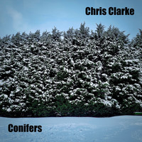 Chris Clarke - Conifers