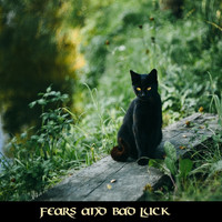 Junk / - Fears and Bad Luck