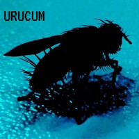 URUCUM - Sur cinque (Quarentena session)