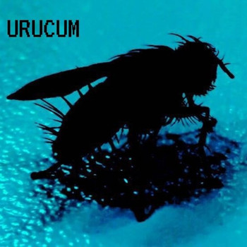 Urucum - Rasgatango (Quarentena Session)