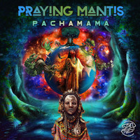 Praying-Mantis - Pachamama