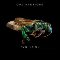 Gustavo Rique / - Evolution