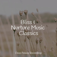 Yoga Namaste, Spa Relaxation, The White Noise Zen & Meditation Sound Lab - Bliss & Nurture Music Classics